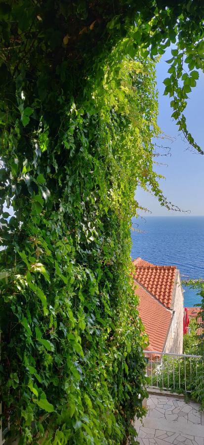 Apartamento Ante Dubrovnik